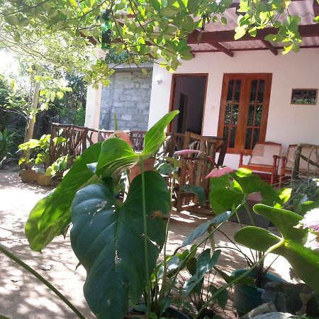 Sigiri Sansi Homestay Sigiriya Exterior photo